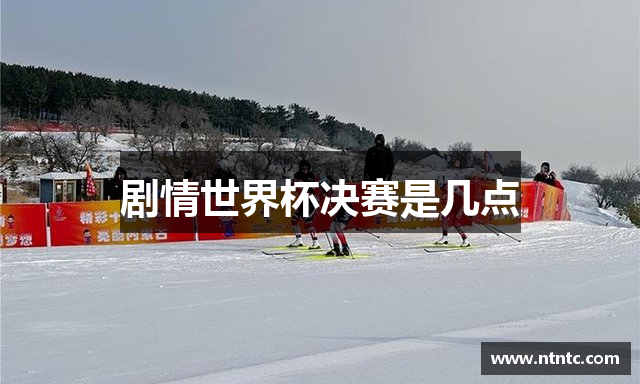 剧情世界杯决赛是几点